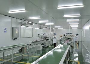 Sementes De Abóbora De Alta Qualidade Alimentos Secos Frescos Orgânicos Naturais Lanche Raw New Product Premium - Product Image 5