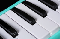 Bee Brand 27-Key Musical Keyboard Instrument Melodica with Stainless Steel Reedplate and ABS Case for Ages 3+