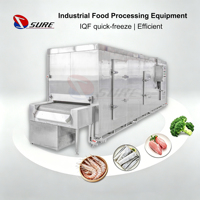 IQF Tunnelvriezer Vriesapparatuur Tunnel Blast Freezer Fabriek Geleverde Diepvries Lam/Sardine Vis Machine Te Koop