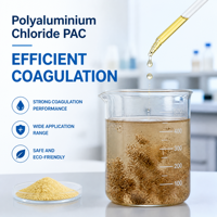 Coagulant au chlorure de polyaluminium pour le traitement des eaux usées de galvanisation
