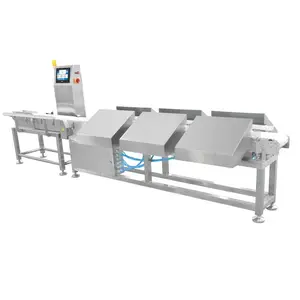 Conveyor belt weighing machine detects live fish, chicken and duck weight sorting machine product weight multi-stage sorting