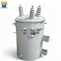 Transformateur de distribution monophasé 20 kVA monté sur poteau, transformateur de puissance immergé dans l'huile, bobinage en cuivre pour utilisation extérieure