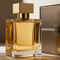 Ensemble complet de bouteille de parfum de rectangle clair en cristal de luxe de 100ml avec la boîte de présentation de pulvérisateur de pompe de fermeture en métal