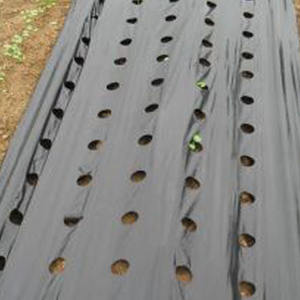 2 m <span class=keywords><strong>de</strong></span> <span class=keywords><strong>paillage</strong></span> d'agriculture en plastique <span class=keywords><strong>de</strong></span> qualité supérieure, <span class=keywords><strong>pour</strong></span> paillette d'agriculture, tomate - Product Image 3