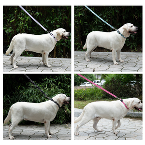 Correa y <span class=keywords><strong>collar</strong></span> personalizados para perros, <span class=keywords><strong>collar</strong></span> ajustable con estampado, correa para pasear perros grandes, medianos y pequeños - Product Image 3