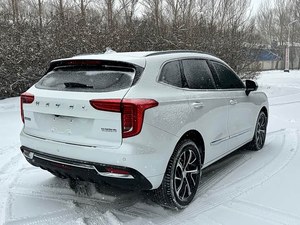 Haval First Love Auto 2021 Usata, Terza Generazione, 1.5T, Sistema di Riconoscimento Emotivo 360 °   Connettività Intelligente per Parcheggio Automatico - Product Image 6