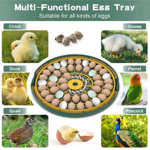 WONEGG 52 <span class=keywords><strong>Mini</strong></span> automatico di pollo oca anatra e quaglia incubatore di alta qualità con il ventilatore portatile e motore per le aziende agricole - Product Image 6