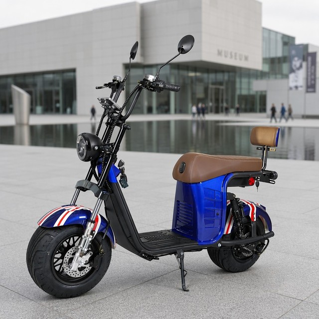 2-Wheel Electric Scooter 10-Inch Wide Tires 1000W/2000W Brushless Full Suspension Waterproof Aluminum Alloy 200kg 20Ah G2