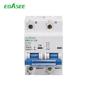 Cb Iecee Ce Rohs ISO9001 Certificaat Dc Breaker 15a 1000V 20a 63a 100a 125a Dc Breaker Voor Zonnepanelen