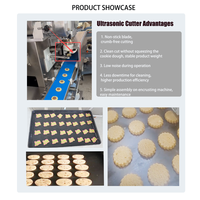 Machine à biscuits automatique à ultrasons LY, ligne de production de biscuits enrobés lisses de style dessin animé pour boulangerie et usine