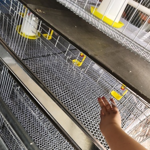 Cage d'élevage de type H à <span class=keywords><strong>prix</strong></span> direct usine, gain de place, galvanisée à chaud, 1 ensemble, <span class=keywords><strong>prix</strong></span> bas pour petite ferme avicole - Product Image 4