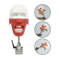 Simulateur de formation dentaire, tête de mannequin fantôme avec modèle de dents, consommables dentaires pour la pratique