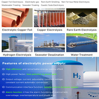 LIYUAN 500A 100V Redresseur SCR haute fréquence à sortie unique pour le traitement de l'eau et l'alimentation en eau de mer