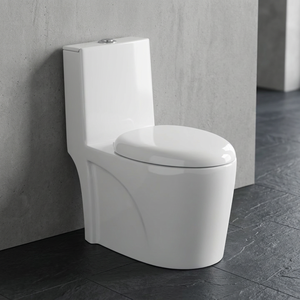 WC monobloc en céramique Dune européenne, chasse d'eau cyclonique, à poser au sol, blanc - Product Image 2