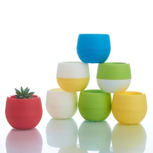 Macetas <span class=keywords><strong>de</strong></span> plástico con forma <span class=keywords><strong>de</strong></span> huevo para suculentas, forma <span class=keywords><strong>de</strong></span> <span class=keywords><strong>Cactus</strong></span>, redondo, colorido, 4 pulgadas, con orificio <span class=keywords><strong>de</strong></span> drenaje - Product Image 3