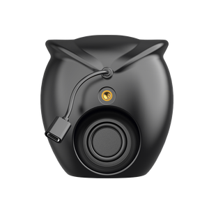 Cámara DE SEGURIDAD IP inalámbrica de 2MP, detección de forma humana en interiores, altavoz inteligente Bluetooth, wifi, cámara AI - Product Image 3