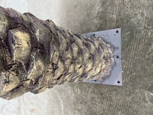 شجرة كبيرة وعالية الجودة رخيصة كبيرة وهمية جذوع شجرة ديكور فندق في الهواء الطلق - Product Image 5