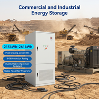 Sistema de Almacenamiento de Energía en Gabinete para Exteriores con Refrigeración Líquida Todo en Uno de 125 kW y 261 kWh para Uso Industrial y Comercial