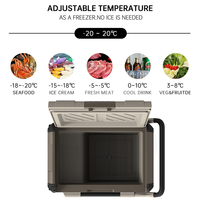 Refrigerador eléctrico de 35L, 12V, 24V, para camping, compresor, congelador, coche, nevera