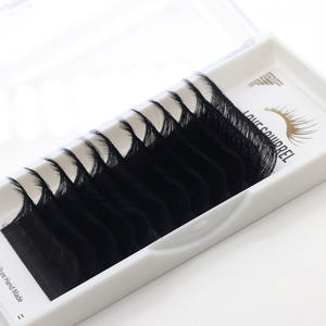 कस्टम असली मिंक व्यक्तिगत बरौनी विस्तार ट्रे शीतल झूठी व्यक्ति चाबुक एक्सटेंशन अर्द्ध स्थायी व्यक्तिगत नेत्र चलाओ - Product Image 3