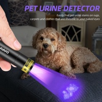 Mini lampe torche UV 395nm rechargeable portable pour la détection d'urine d'animaux, le durcissement de la résine et les agents fluorescents