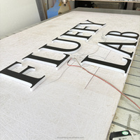 Enseigne lumineuse LED personnalisée pour entreprise, intérieur ou extérieur, enseigne murale commerciale, lettres lumineuses, enseigne avec logo d'entreprise