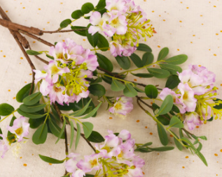 สีม่วงอ่อน