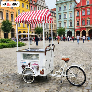 Chariot de vente ambulante de crème glacée en fibre de verre pour la vente de nourriture de rue électrique commerciale - Product Image 3