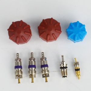 อะไหล่รถยนต์ AC สีแดงสีน้ำเงิน AC.113.176พอร์ตวาล์วที่นั่งใหม่ <span class=keywords><strong>Audi</strong></span> สำหรับ BMW Mini Car Air AIR CORE <span class=keywords><strong>R12</strong></span>ฝาปิดและวาล์ว K R134A - Product Image 2