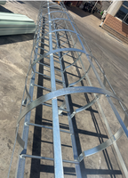 Escalier vertical pour chat en acier galvanisé, durable, de sécurité industrielle, couleurs personnalisées, pour extérieur