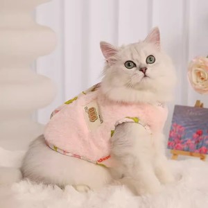 Winter <b>cat</b> clothing for Ragdoll <b>cats</b>, kitten vests, autumn and winter kitten <b>clothes</b>, warm vests to prevent shedding. - Product Image 5