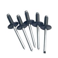 Rivets à tête dôme ouverte en aluminium peint noir avec mandrin en acier 4,0 mm 4,8 mm pour l'assemblage automobile et de meubles