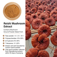 Poudre de champignon Reishi biologique Amulyn, Ganoderma Lucidum, poudre fine issue de la tige fruitière