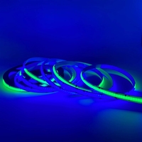 Bande lumineuse LED flexible Dream Color adressable COB 12V/24V USB 5m 720LED/m RGBIC Tira Pixel