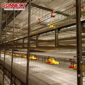 Grand système de fermes d'usine 5 rangées de poulailler poules pondeuses ensemble de cages équipement d'alimentation batterie cages à poulets pour poules de chair