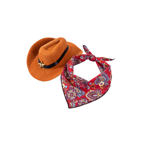 Lindo sombrero para mascotas, sombrero decorativo para gatos, accesorio para mascotas, sombrero de vaquero para perros, accesorio para fotos - Product Image 5