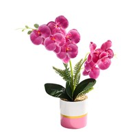 Plante artificielle Phalaenopsis à toucher réel, double branche, orchidée papillon artificielle en pot, bonsaï avec pot