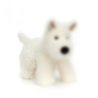 Peluche esthétique Jelly Cats, adorable chien teckel et chat noir, jouet en peluche pour enfants, cadeau d'anniversaire