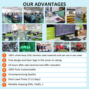 CE IP68 impermeable de acero inoxidable DMX RGB chorro de agua fuente subacuática boquilla de luz pequeña piscina LED fuente de luz - Product Image 5