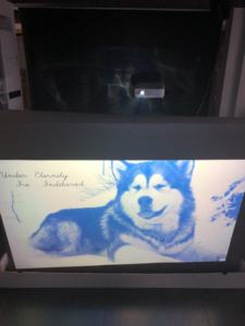 Meilleures ventes d'usine holographiques 3d <span class=keywords><strong>meilleur</strong></span> <span class=keywords><strong>projecteur</strong></span> hologramme 360 degrés Film de Projection arrière - Product Image 3