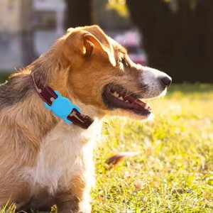 Nueva funda protectora de silicona luminosa, funda para Collar de perro con etiqueta de aire, funda de silicona de Color brillante para <span class=keywords><strong>Airtag</strong></span> Cat Collar <span class=keywords><strong>Loop</strong></span> - Product Image 2