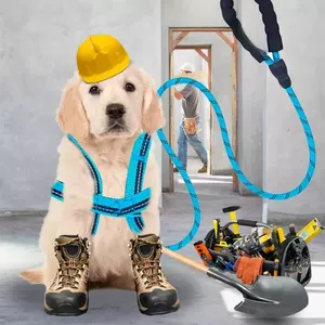 Kit di due imbracature e al leash per cani e animali domestici di media taglia