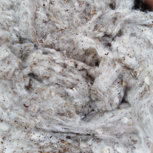 Thanh Vin Company's 100% algodón Lickerin a y B Card Fly Flat Strips Excelentes tasas de exportación - Product Image 1