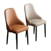 Chaise de salle à manger en métal minimaliste de luxe léger, démontable, pour petits appartements, maisons, hôtels, restaurants