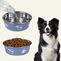 Accessoires pour chiens de compagnie, vente en gros, gamelles de luxe écologiques en acier inoxydable, bols pour nourriture et eau pour chiens, design cartoon