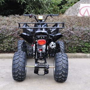 CEE adulto atv <span class=keywords><strong>quad</strong></span> 1 reverse single cylinder4 stroke250cc desplazamiento alta calidad <span class=keywords><strong>precio</strong></span> barato venta caliente - Product Image 4