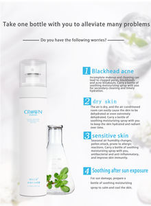 Private Label 4 Fonctions Soins <span class=keywords><strong>de</strong></span> la Peau Hydratation du Visage Hydratant Coups <span class=keywords><strong>de</strong></span> <span class=keywords><strong>Soleil</strong></span> Spray Tonique Apaisant pour la Peau - Product Image 5