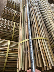Estacas de Bambú Orgánico Natural para Soporte Agrícola de Plantas, Cañas de Jardín para Viñedos, Viveros y Soportes de Tomate - Fabricante - Product Image 4