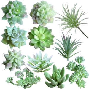 LUYI - Plantas Suculentas Artificiales de Plástico, 11 Piezas, <span class=keywords><strong>Mini</strong></span> Suculentas Artificiales, Echeveria, <span class=keywords><strong>Agave</strong></span>, Surtido de Plantas Verdes Artificiales Colgantes - Product Image 1