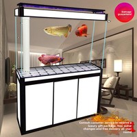 Nouvel aquarium autoportant en verre ultra-blanc pour poissons-dragon avec filtre inférieur et écran de séparation, modèle 2026, accessoires pour aquarium